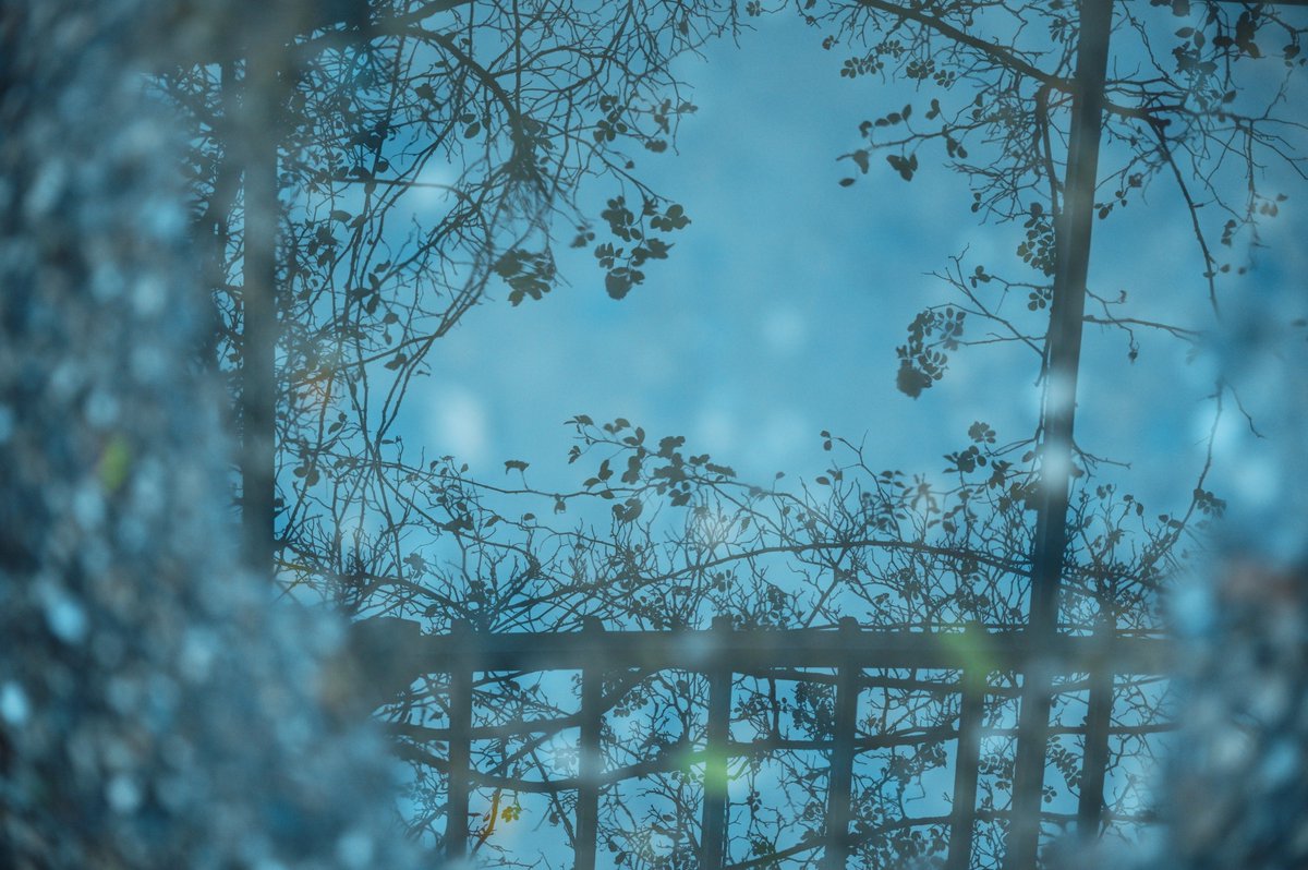 - il roseto d'autunno -
scatto singolo, jpeg senza ritocchi.
Sigma fpL e la nuova Sigma 28-105 f 2.8 Art di SIGMA Italia <a href="/foto_sigma/">SIGMA Italia</a> <a href="/SIGMA_foto/">SIGMA (Deutschland)</a> <a href="/Sigma_Japan/">SIGMA Japan</a> <a href="/Sigma_Photo/">SIGMA America</a>