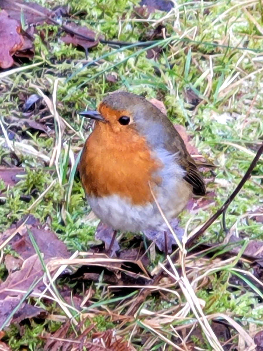 Daily Picture Theme tweet media