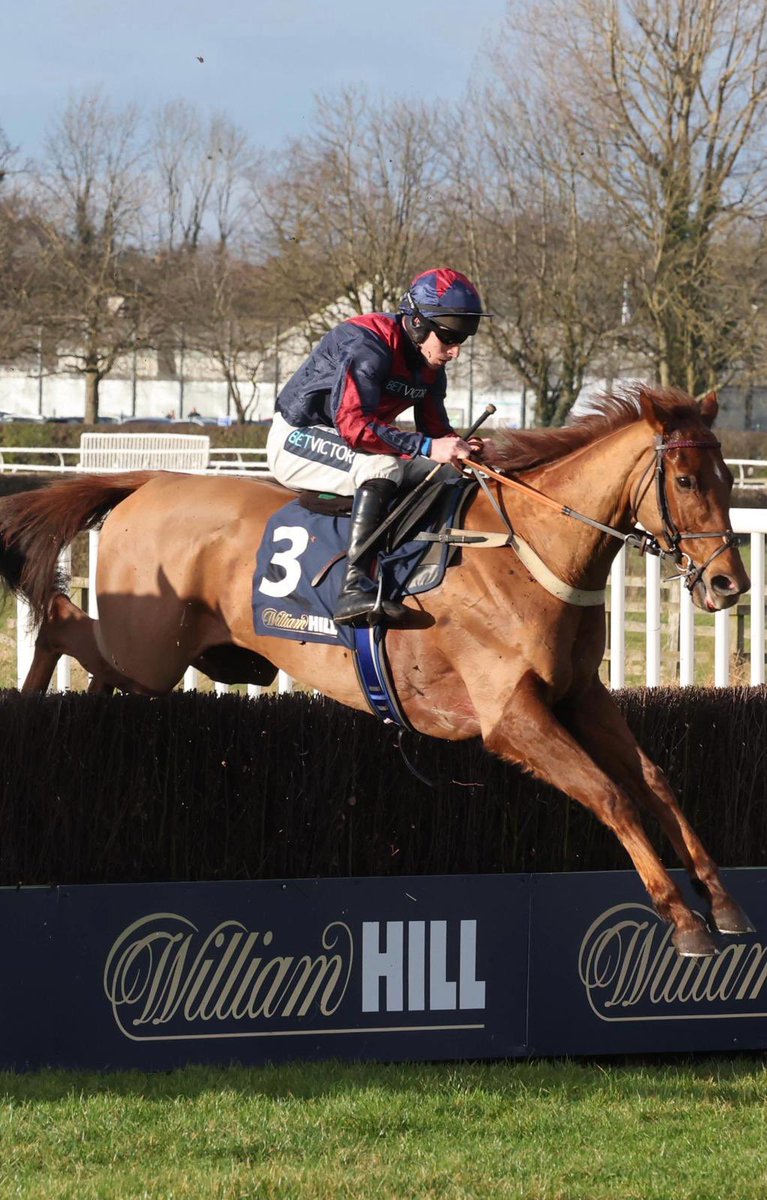 jamiesnowden's tweet photo. #ColonelHarry is 2nd in the Class 1 ColinParker ‘Intermediate race’ @CarlisleRaces under @GavinSheehan92 for @Janeglyndavies A perfect prep run for the @Coral #GoldCup @NewburyRacing Let’s hope for back to back wins! @Alexwalters89 @BetVictor #winners #Gino https://t.co/fcjRidFZAk