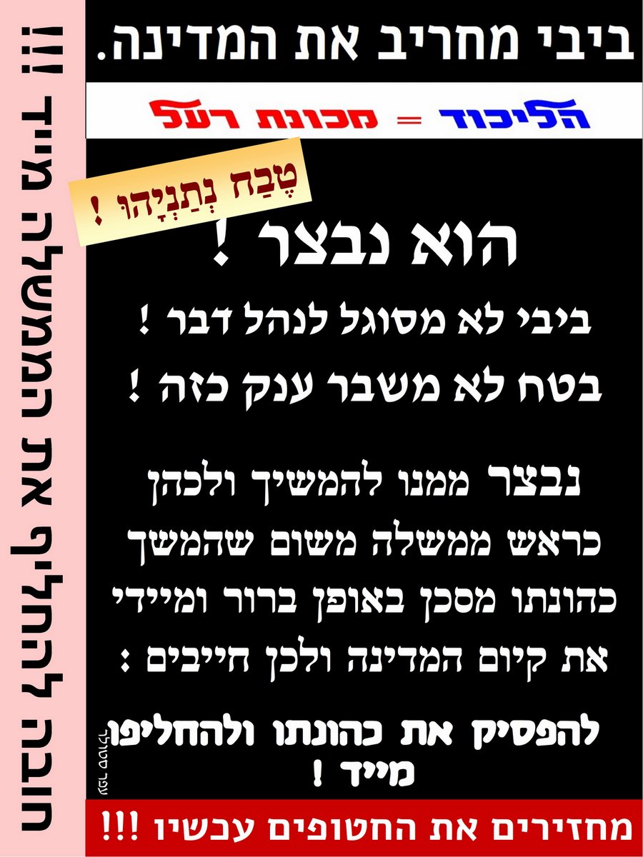 עפר סטולר Ofer Stoler tweet media