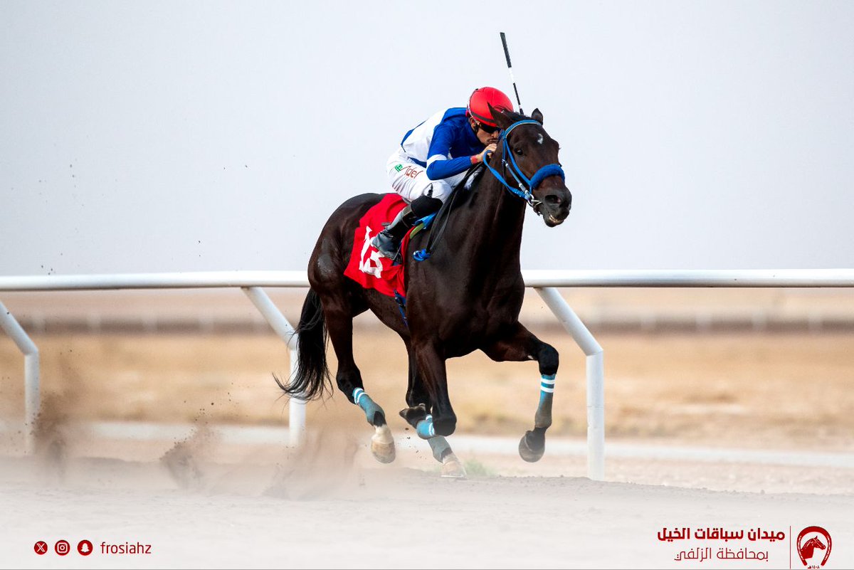 FrusiyaZulfi's tweet photo. الفائز بالشوط الرابع "مفتوح ٣ سنوات فأكثر " مسافة 1400م
للحفل الأول على كـأس وجـوائز دعـم رجل الأعمال /خلف بن عبدالرحمن الخلف
الجواد: عديت
المالك: علي المحترش
المدرب: محمد سعود الفالح 
الخيال: عادل الفريدي 
الزمن: 1,3٠,٤٤
#ميدان_فروسية_الزلفي https://t.co/z1OL4AaT1A
