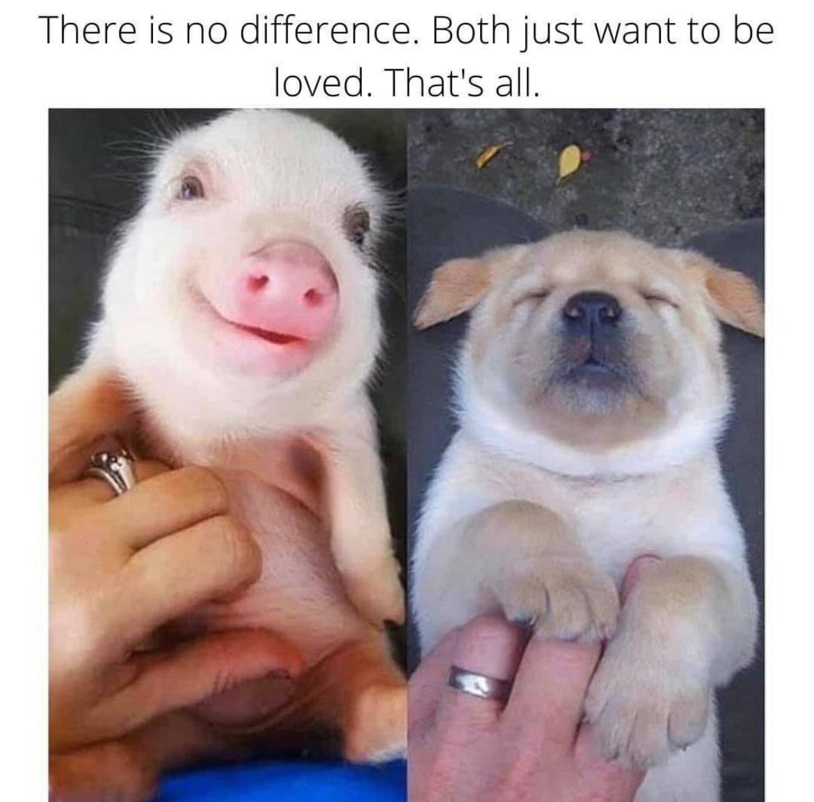 NothingIsArt tweet media