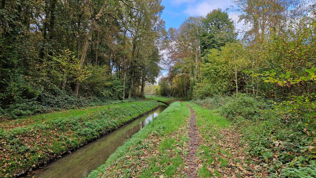 ThomasDeRijdt's tweet photo. #vrtweer #barebeek #kampenhout #zemst 13 graden https://t.co/A1ZweFwAxs