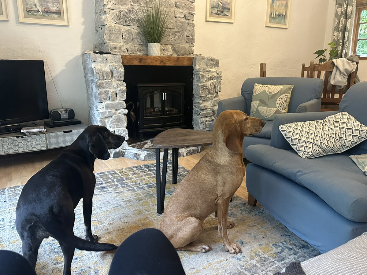 According2Taz tweet media