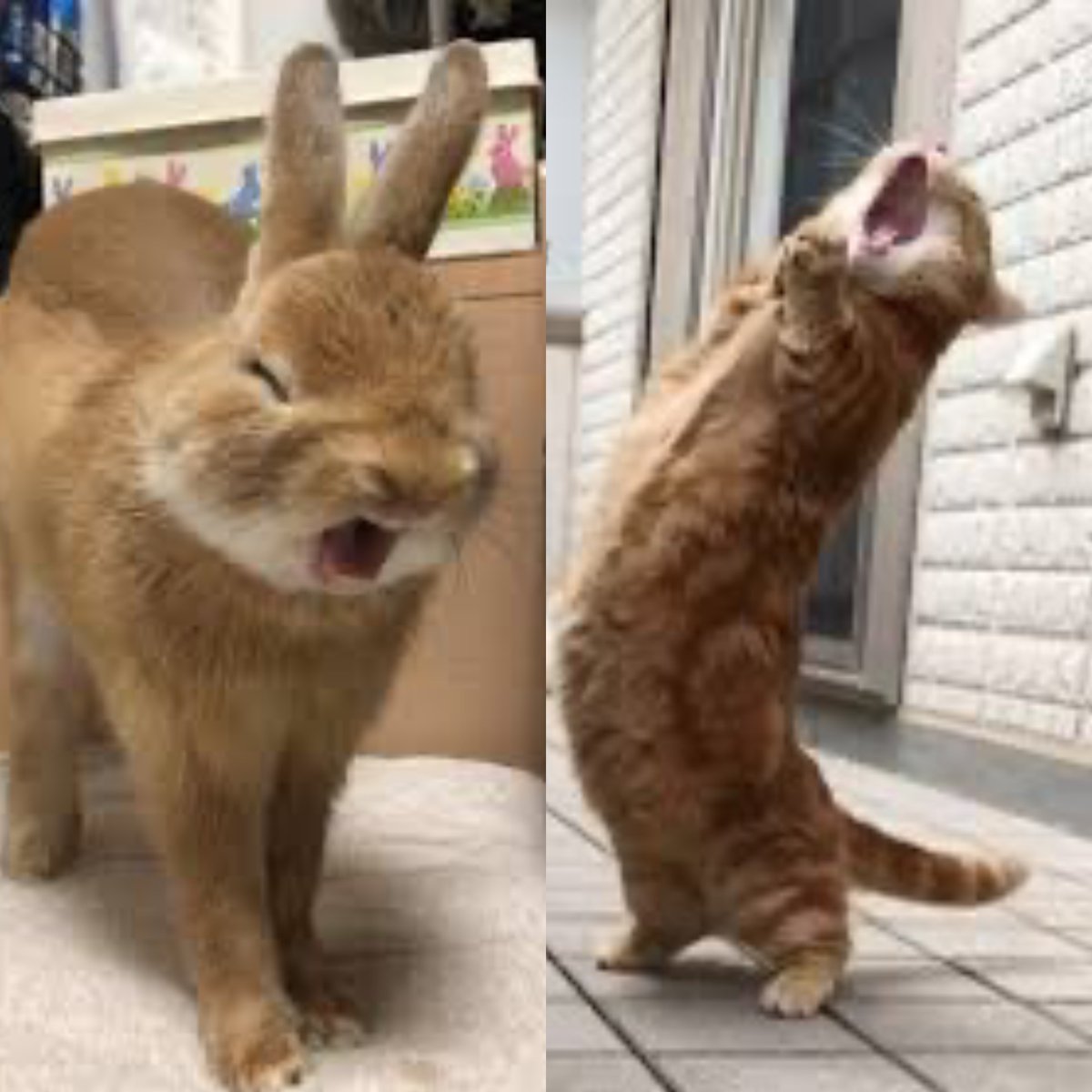 뉴스룸 영필.. 나한텐 다소 이럭케 보임….