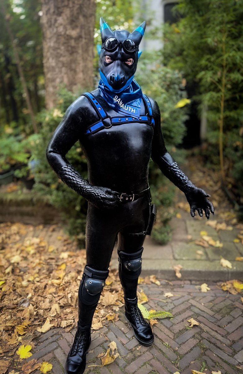 Samauth's tweet photo. New outfit just arrived from @furrjoi01 
And I’m lovin’ it while wearing it at @BarkPlayNL 🤩 https://t.co/xdYL7bgiHg