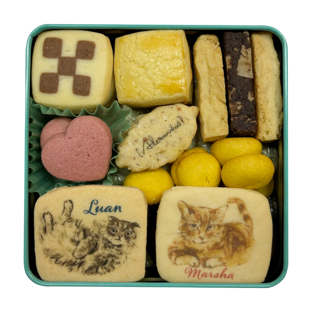 アレキとか！ドロスとか！ tweet media