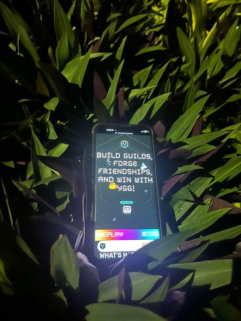 cryptonaes_'s tweet photo. Sup' guy! check out what I found!🥳

Real Hidden GEM on the bush 💎💰

#YGGCreator #YGGPH @YieldGuild @garsanctuary https://t.co/YHRV498JZt