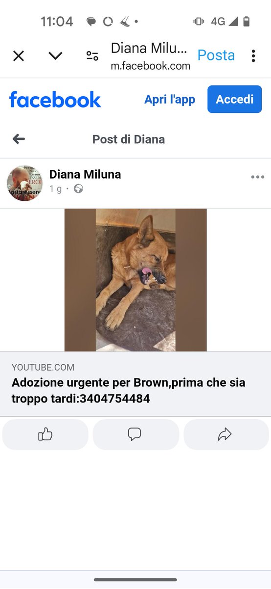 Emilystellaemi2 tweet media