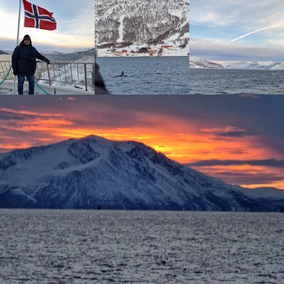 Rizwan Malik tweet media