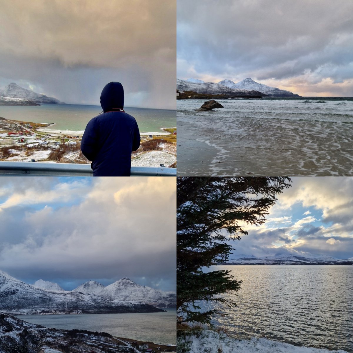 Rizwan Malik tweet media