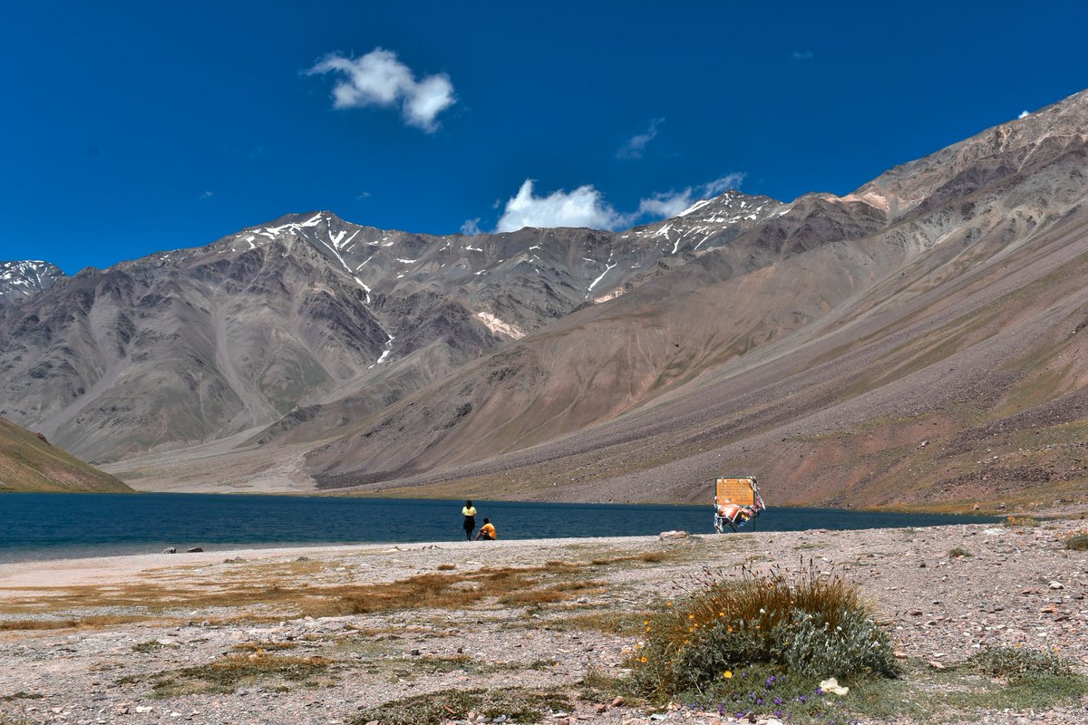 Arvind Negi tweet media