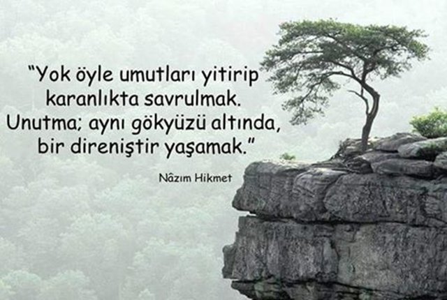 VenusNhl's tweet photo. Yol bizi nereye götürür bilinmez ama unutmayinki ilahi plan dahilinde karşılaştığımız her zorluk,büyümemiz farkindalik kazanmamız için.Umudunuzu hicbir koşulda yitirmeyin.Niyetiniz temizse er yada geç güneşi kucaklarsınız🙏💫  #GrandeFratello  #astrology #DaouOffroad #Solana https://t.co/3SYxLtrPtI