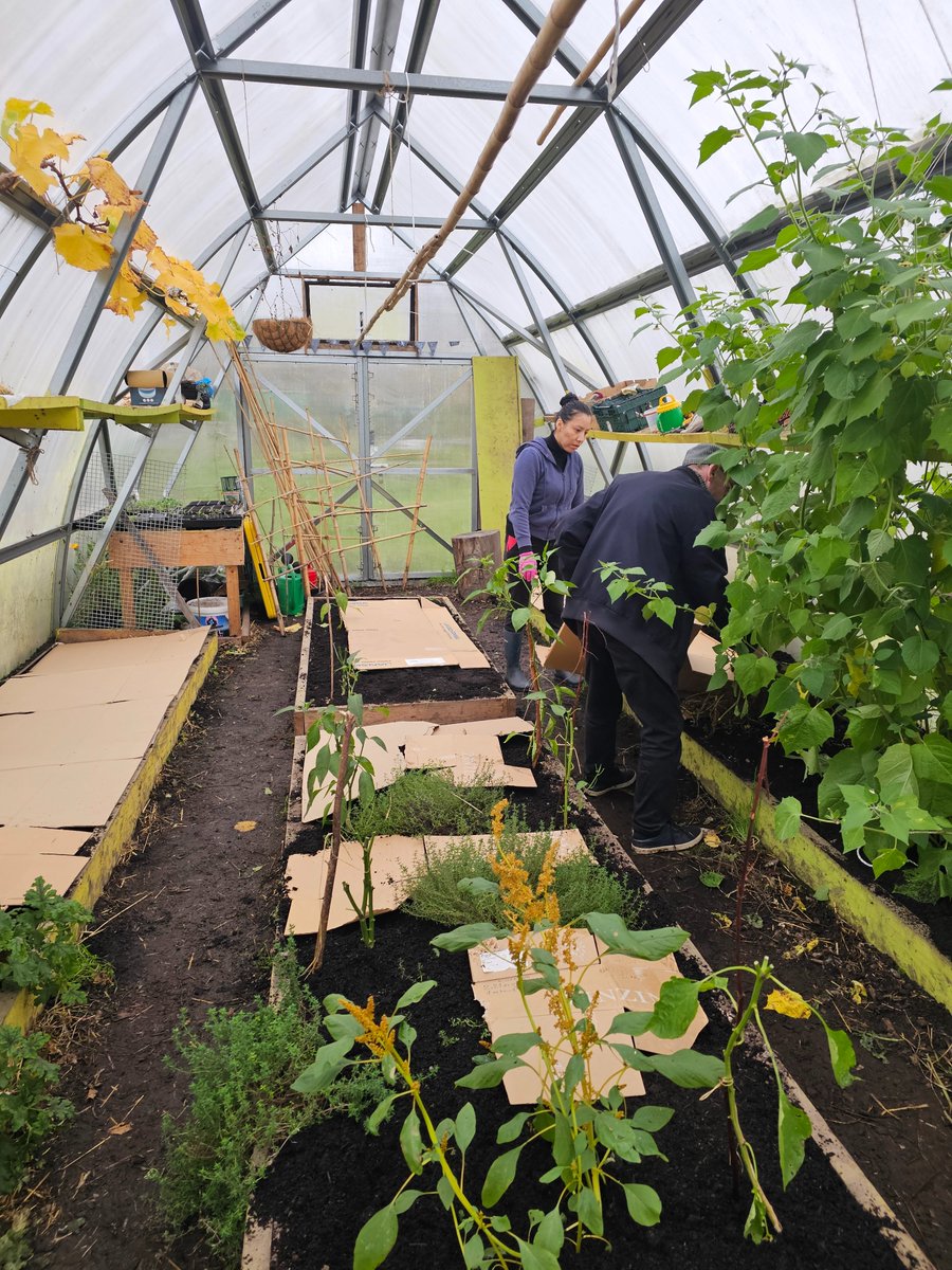 Green Spaces For Health (@greenspacescork) on Twitter photo Seasons pass. We are entering our 4th year this November <a href="/GardenTogher/">Togher Community Garden</a> Putting some beds to sleep in the polytunnel & outdoors.
Lovely conversations around table as we ate Feijoada, a Brazilian black bean stew. This is life <a href="/CorkHealthyCity/">Cork Healthy Cities</a> <a href="/SHEP_Ireland/">Social&HealthEdProj.</a> <a href="/CorkFoodPolicy/">Cork Food Policy</a> Seasons pass. We are entering our 4th year this November <a href="/GardenTogher/">Togher Community Garden</a> Putting some beds to sleep in the polytunnel & outdoors.
Lovely conversations around table as we ate Feijoada, a Brazilian black bean stew. This is life <a href="/CorkHealthyCity/">Cork Healthy Cities</a> <a href="/SHEP_Ireland/">Social&HealthEdProj.</a> <a href="/CorkFoodPolicy/">Cork Food Policy</a>