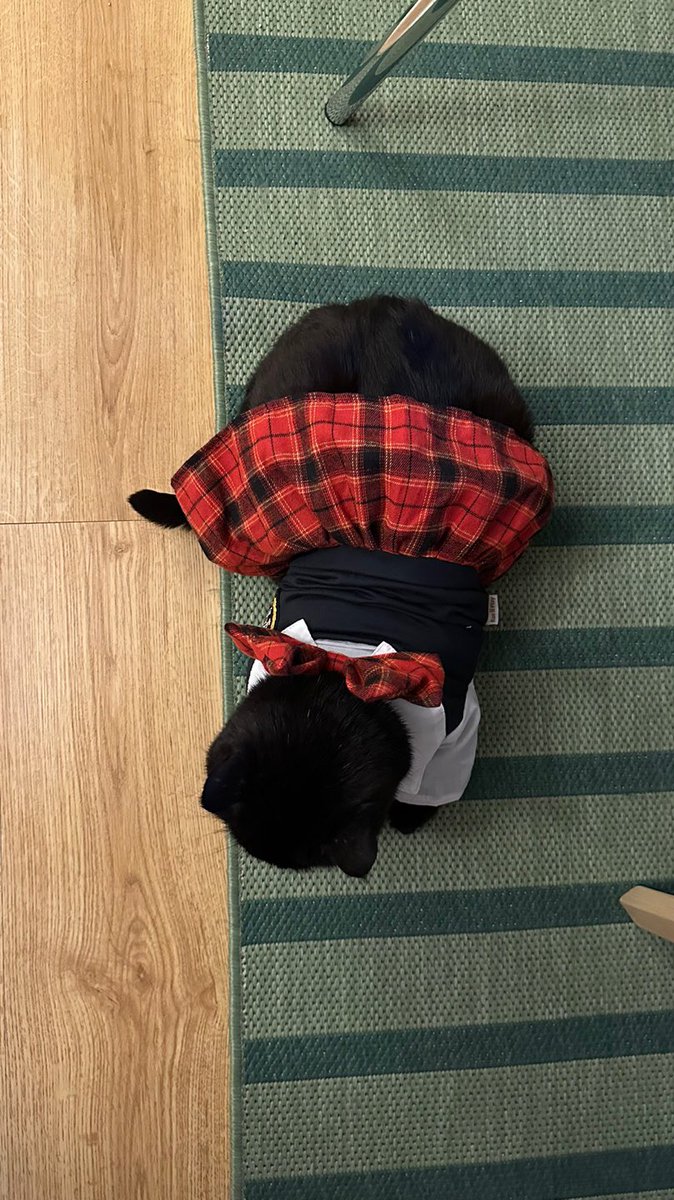 미소녀여고생
근데이제교복핏이조랭이떡인