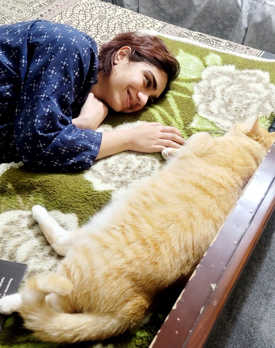 he’s 2.5 years!! 
i met him abandoned by the side of a road near a chicken shop. his paws were burnt from the warm road. didn’t know if he’d survive. at the time my anorexia was so horrid i didn’t know if i’d either. but we did. i know love because i know goldie.