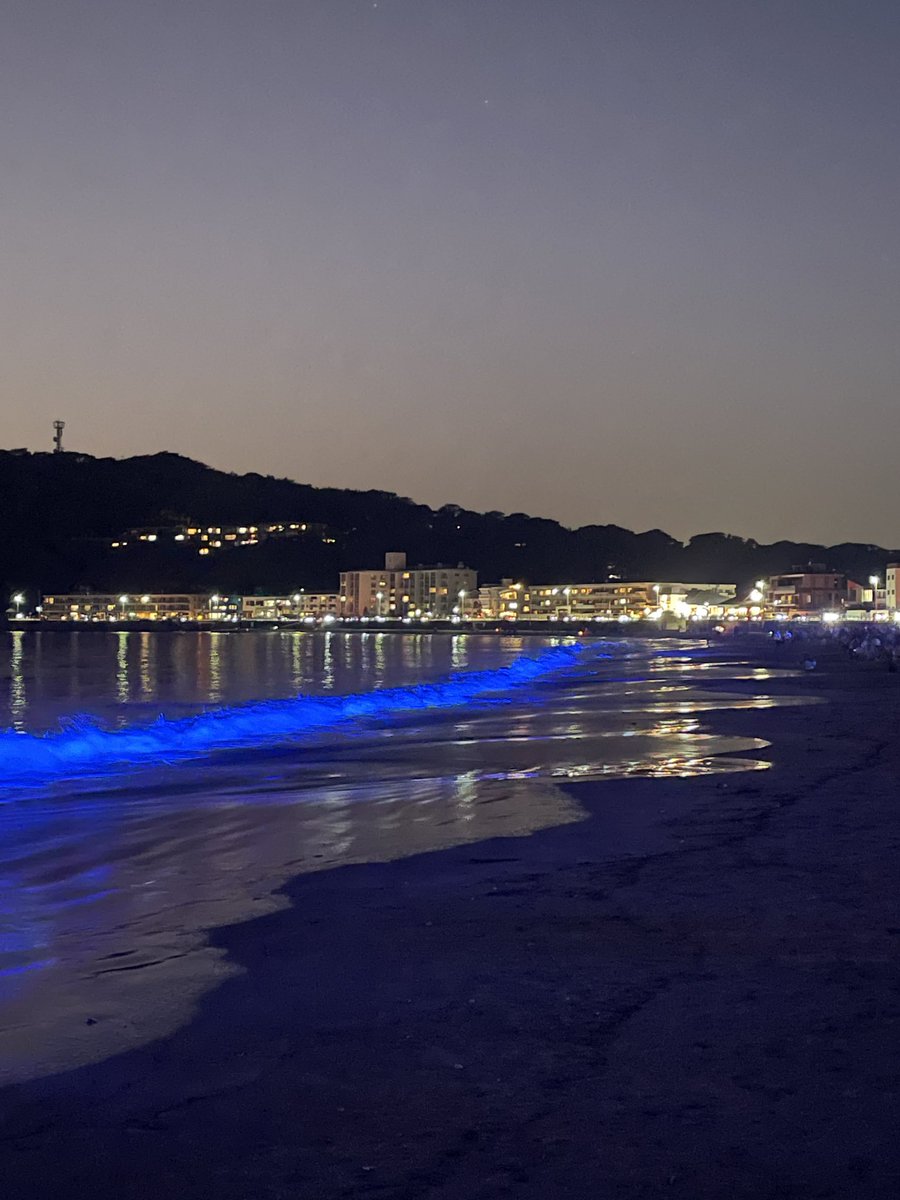 _nightwave's tweet image. 本日のNIGHT WAVEはとてと多くの方にお越しいただき、波も良い光を放っていましま。また、飲食を楽しみながら、瑛人さんはじめ、素晴らしいアーティストのステージと一緒に素敵な時間となりました。
ご来場ありがとうございました！

#nightwave #ナイトウェーブ #光の波プロジェクト #逗子海岸