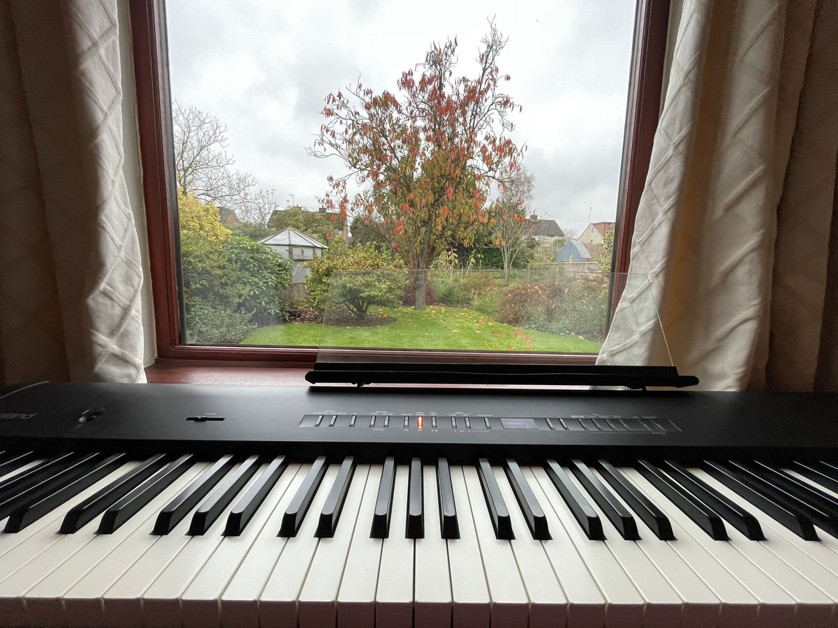 Playing ‘Autumn Leaves’ to the autumn leaves.