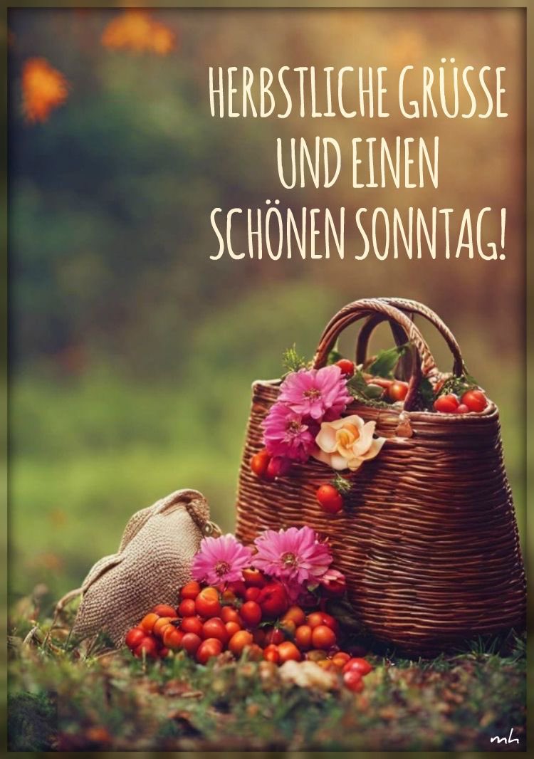 Knoepfchen's tweet photo. Hallo liebe K-Ründe 🙋🏻‍♀️ https://t.co/LNf8FYIJBT