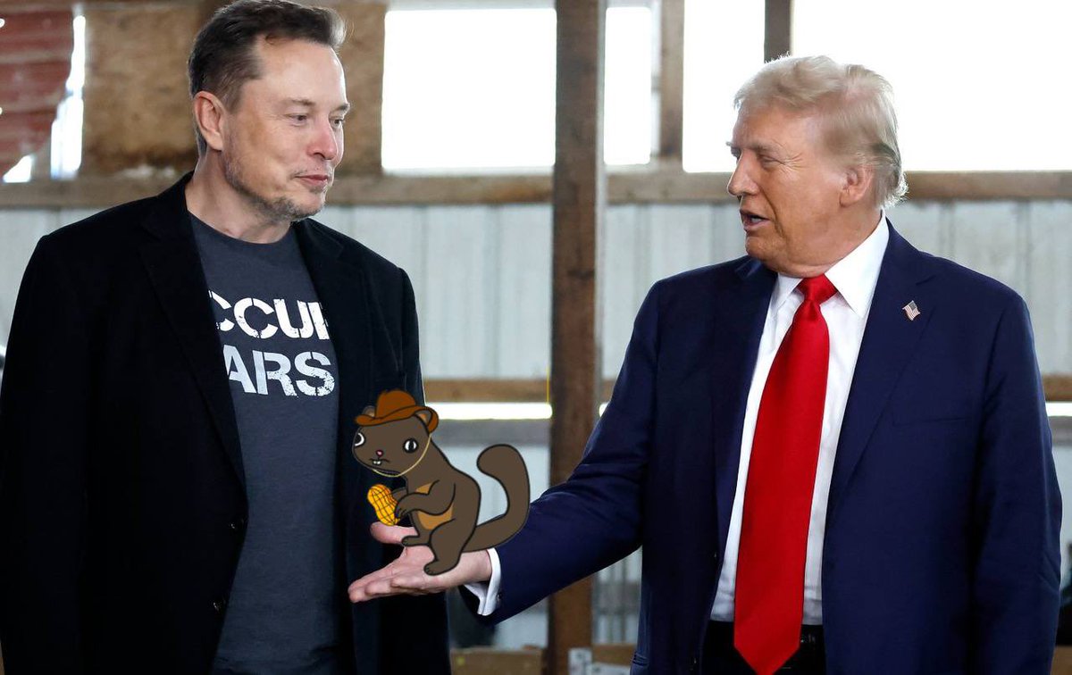 cryptocat1811's tweet image. Nate..community is everything !!...If you miss out on 
$Pepe
$POPCAT
$MOG
#SPX6900
$GIGA
$WIF
$SHIB
$BRETT
$MOODEN
$GOAT
$BULL
Do not miss out on $pnut
@OGpeanut_SOl
$PEANUT