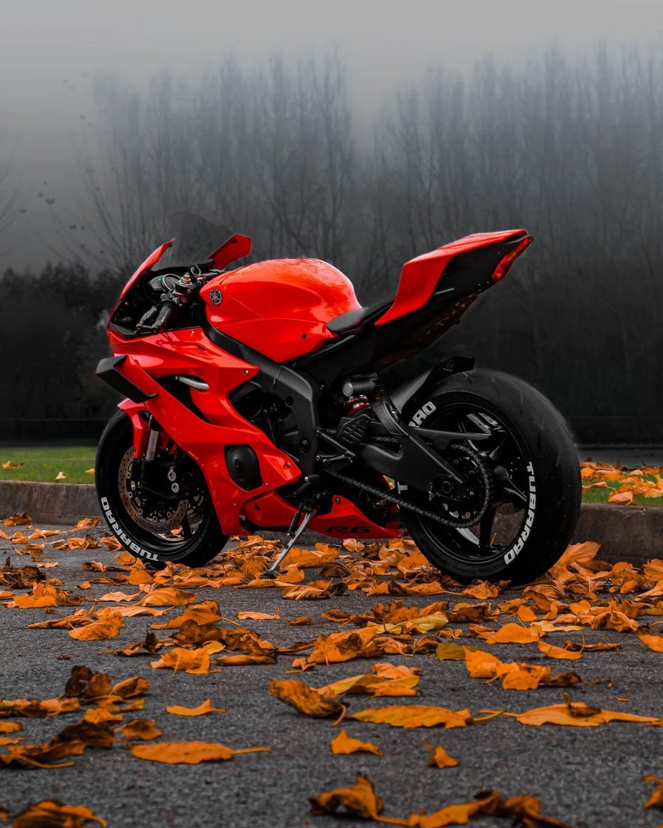MoreMotorcycles's tweet photo. Yamaha R6 https://t.co/ef3cgwTFmE