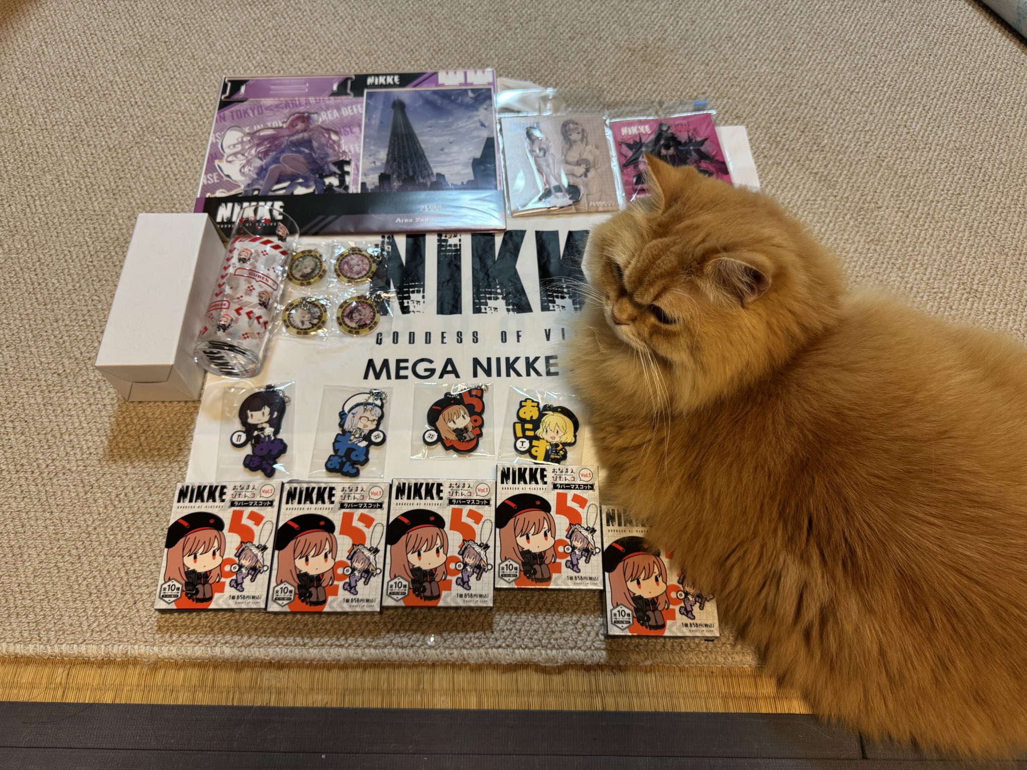 M*A様 ニケ マスト パイレーツハート コスプレ フルセット Amazon | ホンダ マニホールド セット 可変 vm26 モンキー