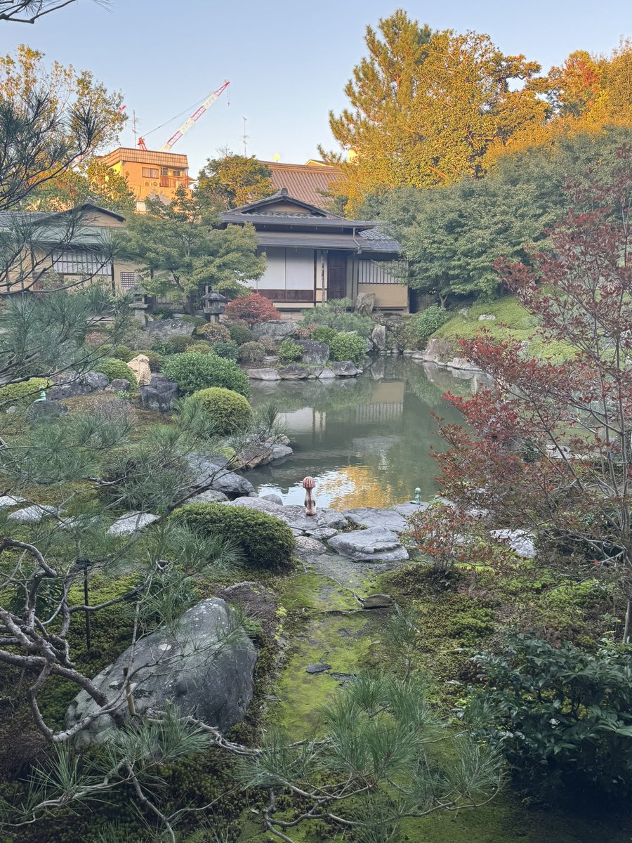 tailuplion's tweet photo. これから京都は益々良い時期ですね。 https://t.co/RuyXIk0Bn5