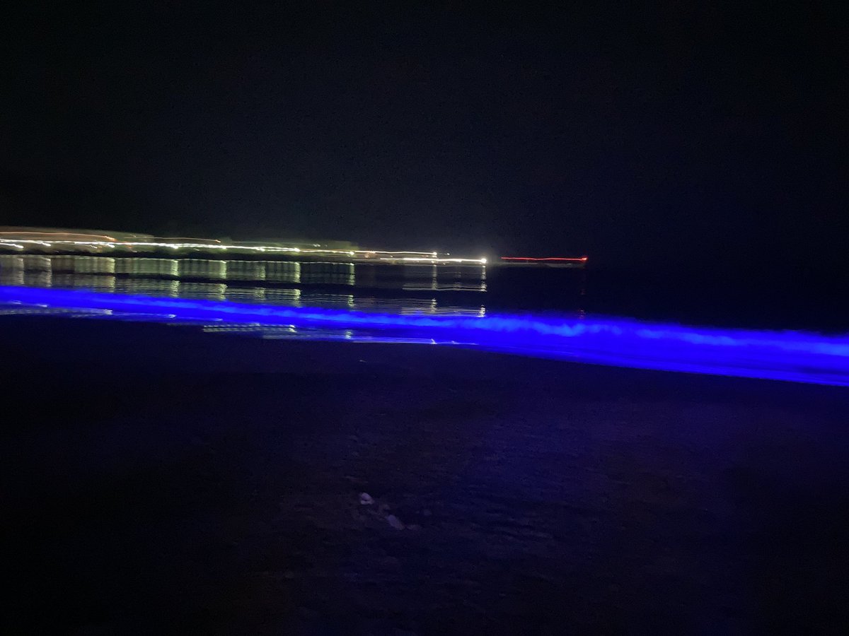 yu_painter's tweet image. 実際に見た方がもっと綺麗💙🌊
雰囲気だけでもお裾分けできたら！

星も見えて、美味しい匂いもして
はしゃぐ声も音楽も🎶
みんな楽しんでました😊

 #逗子海岸 #NIGHTWAVE #青い記憶