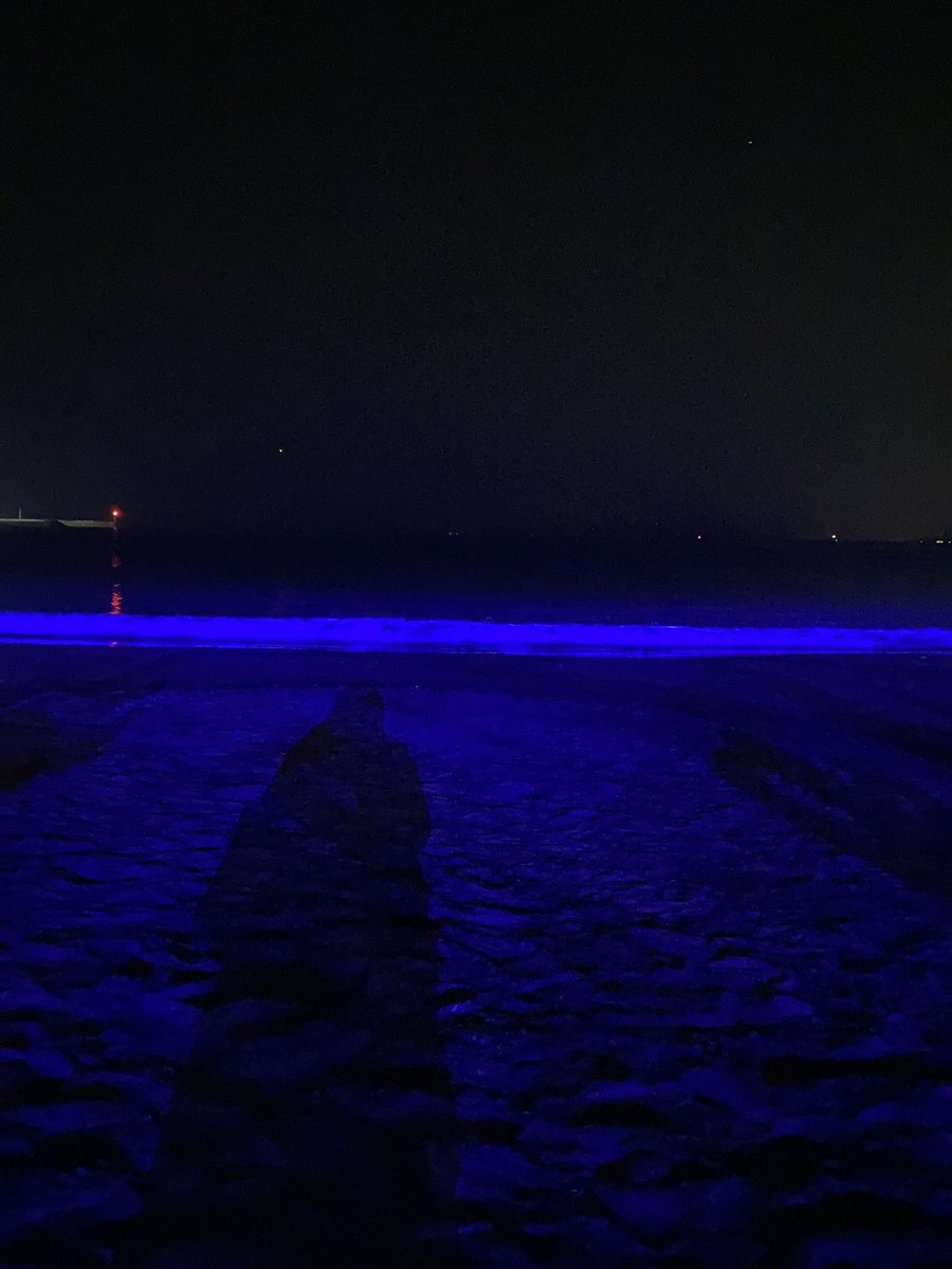 yu_painter's tweet image. 実際に見た方がもっと綺麗💙🌊
雰囲気だけでもお裾分けできたら！

星も見えて、美味しい匂いもして
はしゃぐ声も音楽も🎶
みんな楽しんでました😊

 #逗子海岸 #NIGHTWAVE #青い記憶