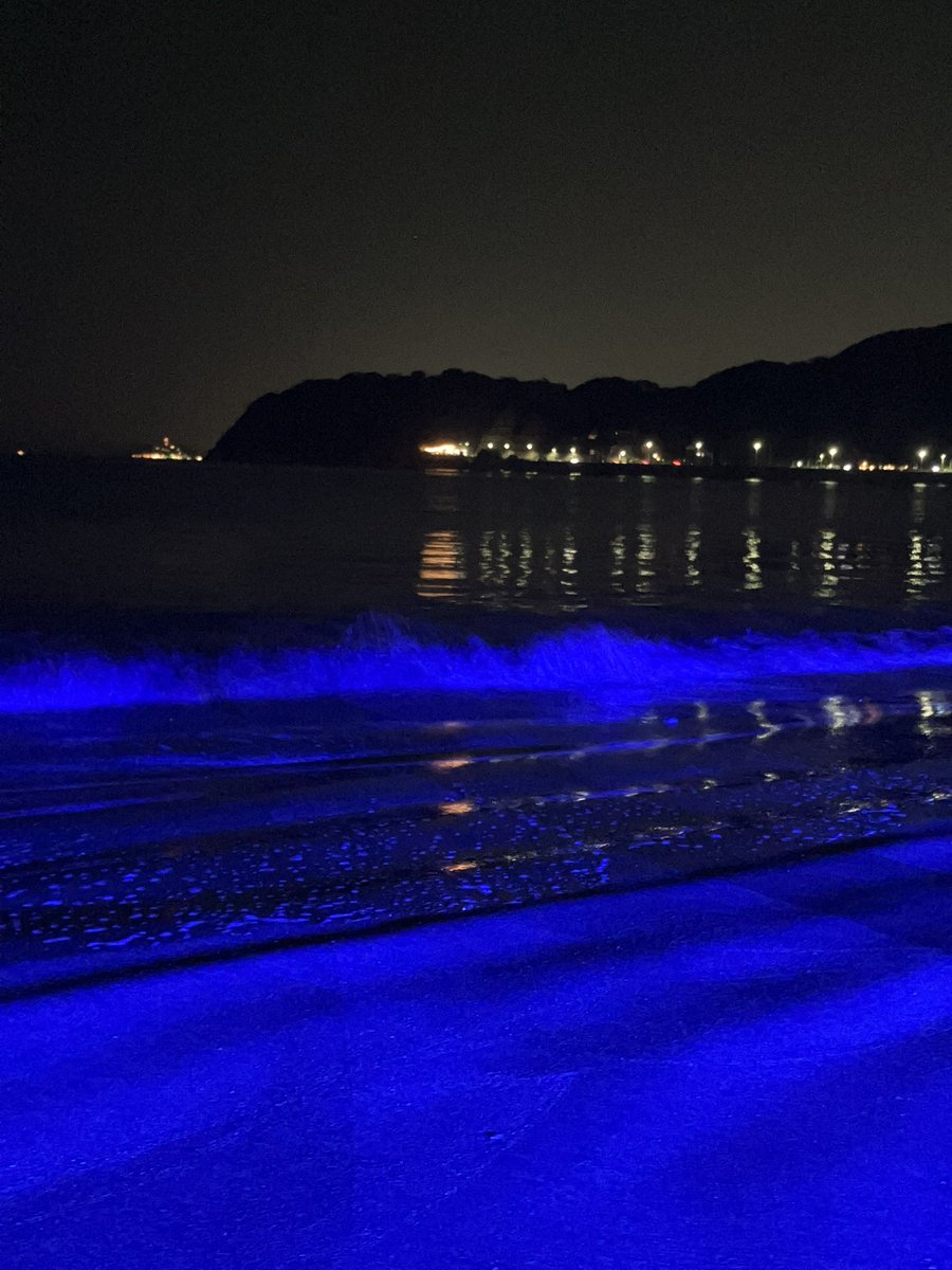 zushi_artfes's tweet image. ✨💙NIGHT WAVE 💙✨
～光のプロジェクト～in ZUSHI 2024

本日無事に開催され、夕暮れや波も穏やかで終了しました😊

逗子アートフェスティバル実行委員会は今年は協力となっています。

#逗子海岸