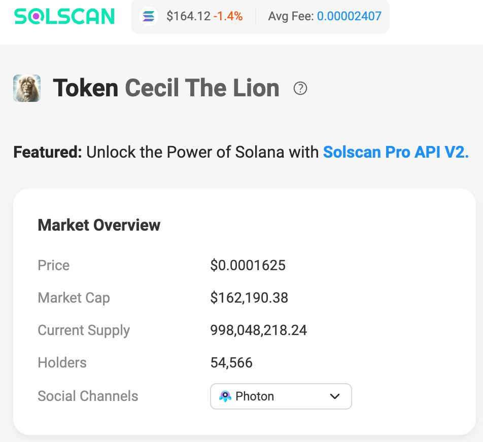 54k+ holders. Crazy! $CECIL