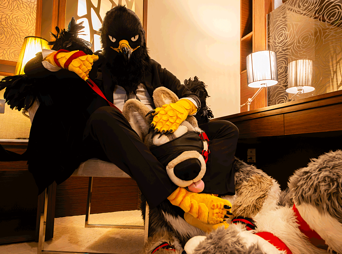 Good boy...😈

with <a href="/MahkunCoyote/">MahkunCoyote🐾FurstClass🇰🇷🐾おきけも🌴</a> 
📸 by <a href="/wolfroof/">うぇあ/ware</a>