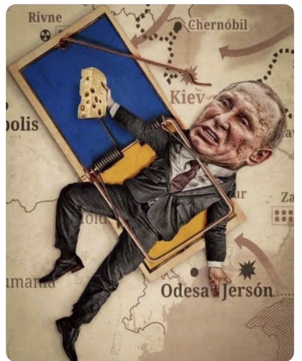 Vita🇮🇹🇪🇺🇺🇦🇵🇱🇬🇧🇬🇪🇨🇦 tweet media