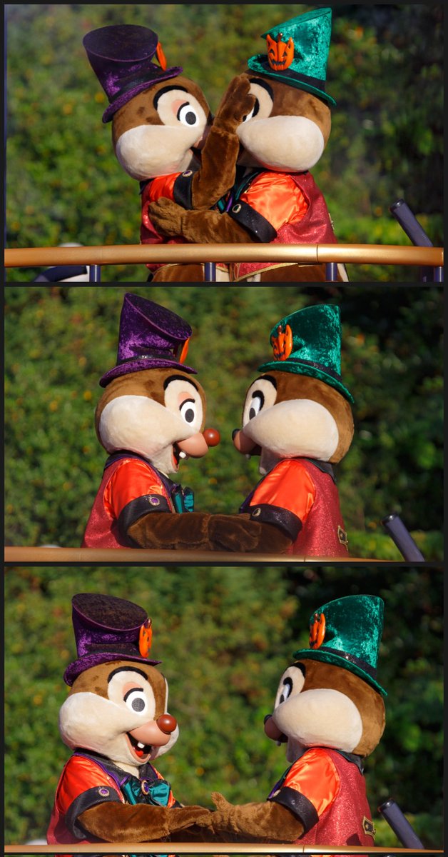フレンジー🎃
チデの赤黒衣装おしゃれだしおしゃべりがかわいい。曲もかっこよくて好き☺️