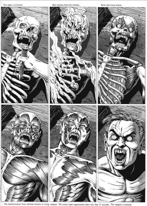 Rifts Vampire Kingdoms by Kevin Long 
