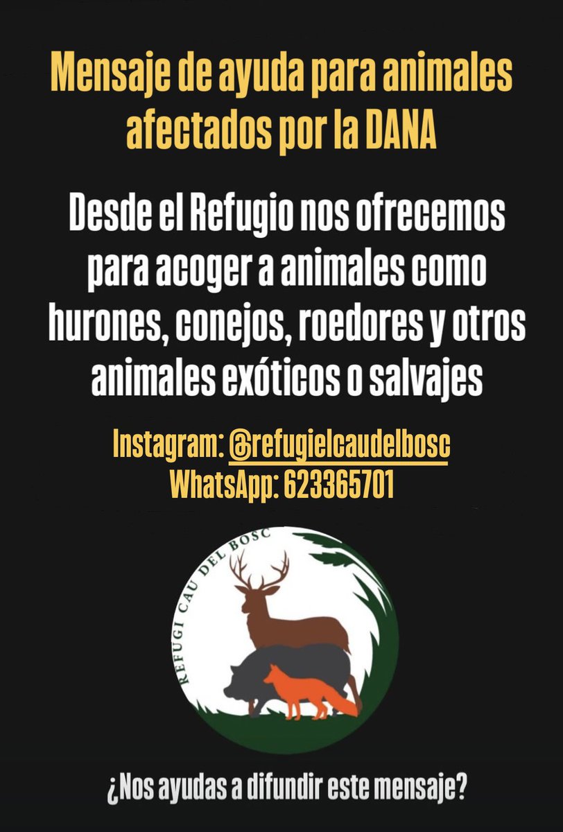 Bel González tweet media