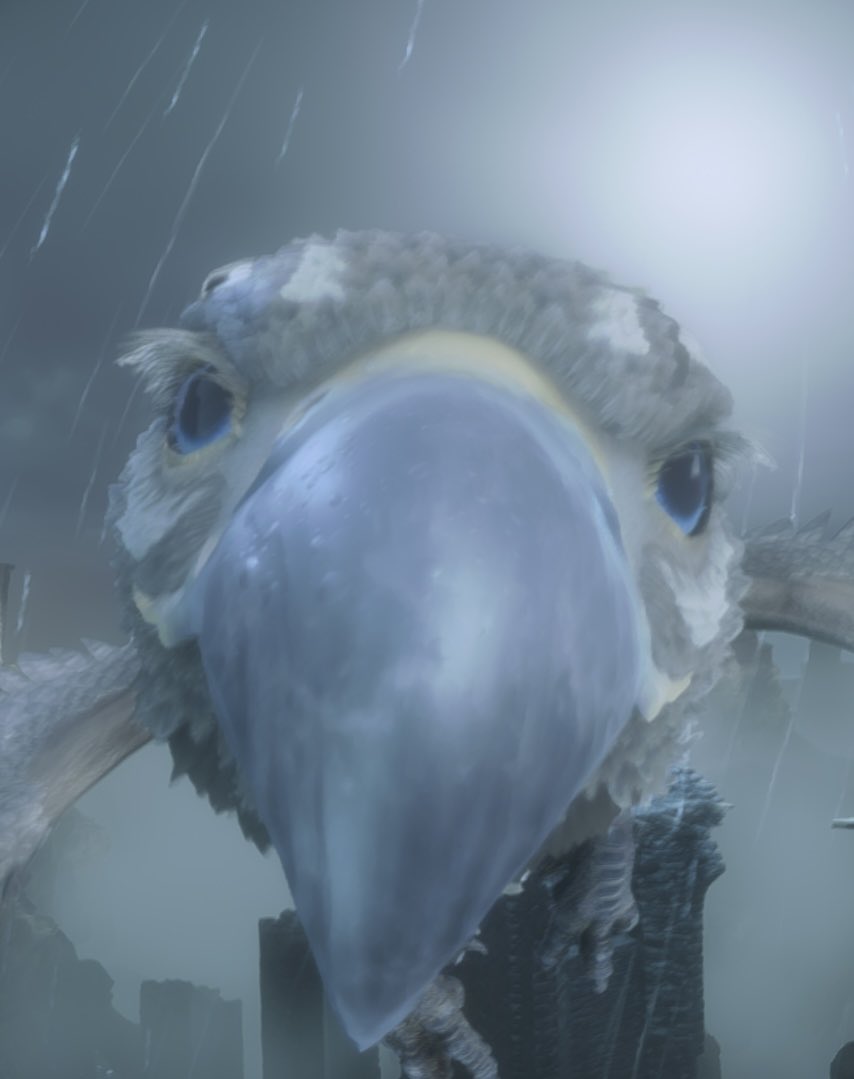 schwoobzilla's tweet photo. u got games on ur phone? https://t.co/SlnIj3txg4