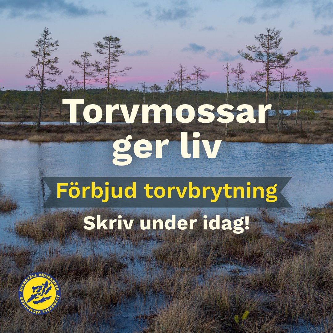 Skriv under namninsamlingen idag!

aterstallvatmarker.se/radda-grimsas/

Torvmossar måste bevaras och återskapas för att vi ska klara klimatmålen och bevara den biologiska mångfalden.

Hjälp oss rädda Grimsås mosse från att bli en död torvgruva, skriv under idag!

#återställvåtmarker