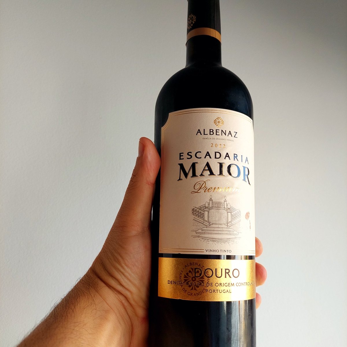 TrigueiroPedro's tweet photo. #vinhamento 1 Adama Traore a entrar mesa adentro. Corpo, robustez e velocidade. Nem precisa de prova. Pura endorfina de 14% e desconto em superficie comercial. Menos de 4€. O mundo não é chato. https://t.co/yiiDNecrU1