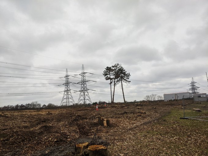 SayNo2SizewellC's tweet image. Govt allocates £400m for tree planting yet splurges £2.7bn on Sizewell C white 🐘 to continue its programme of ripping up trees, destroying miles of hedging, concreting acres of land, defiling the coast, in one of the UK's biodiversity hotspots &amp;amp; AONB. Madness!
#SayNo2SizewellC