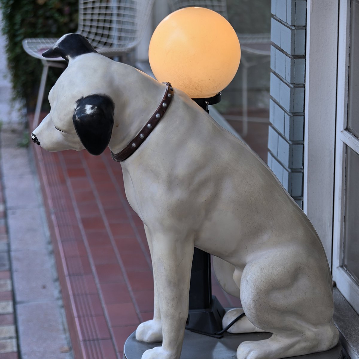 NG_005's tweet photo. Nikon D750にDタイプレンズを付けてフォトウォーク。主流のミラーレスではなく、敢えて一眼レフを持ち出す。 シャッターを切ったときに聞こえるミラーの音、20年前のレンズの駆動音に懐かしさを感じ、写真を撮っているという実感を与えてくれる。
#フォトウォーク
#Nikon 
#仙台市 https://t.co/zT9TNeLtwD