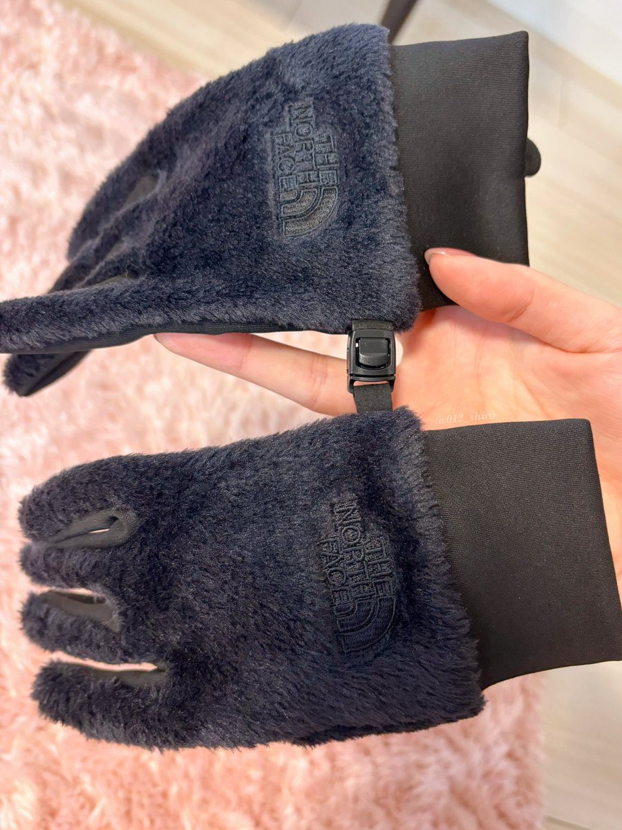 012_shiro's tweet photo. これから手袋を買う人へ
去年買ったノースフェイスのが大当たりでした、真冬のマイナス気温な北海道でもこれで耐えられた！！！

しっかり暖かくてスマホ触れる、左右がバラバラにならないクリップ付き。もう絶対欲しい機能が全部詰まってる…… https://t.co/xD5CxTyDHO