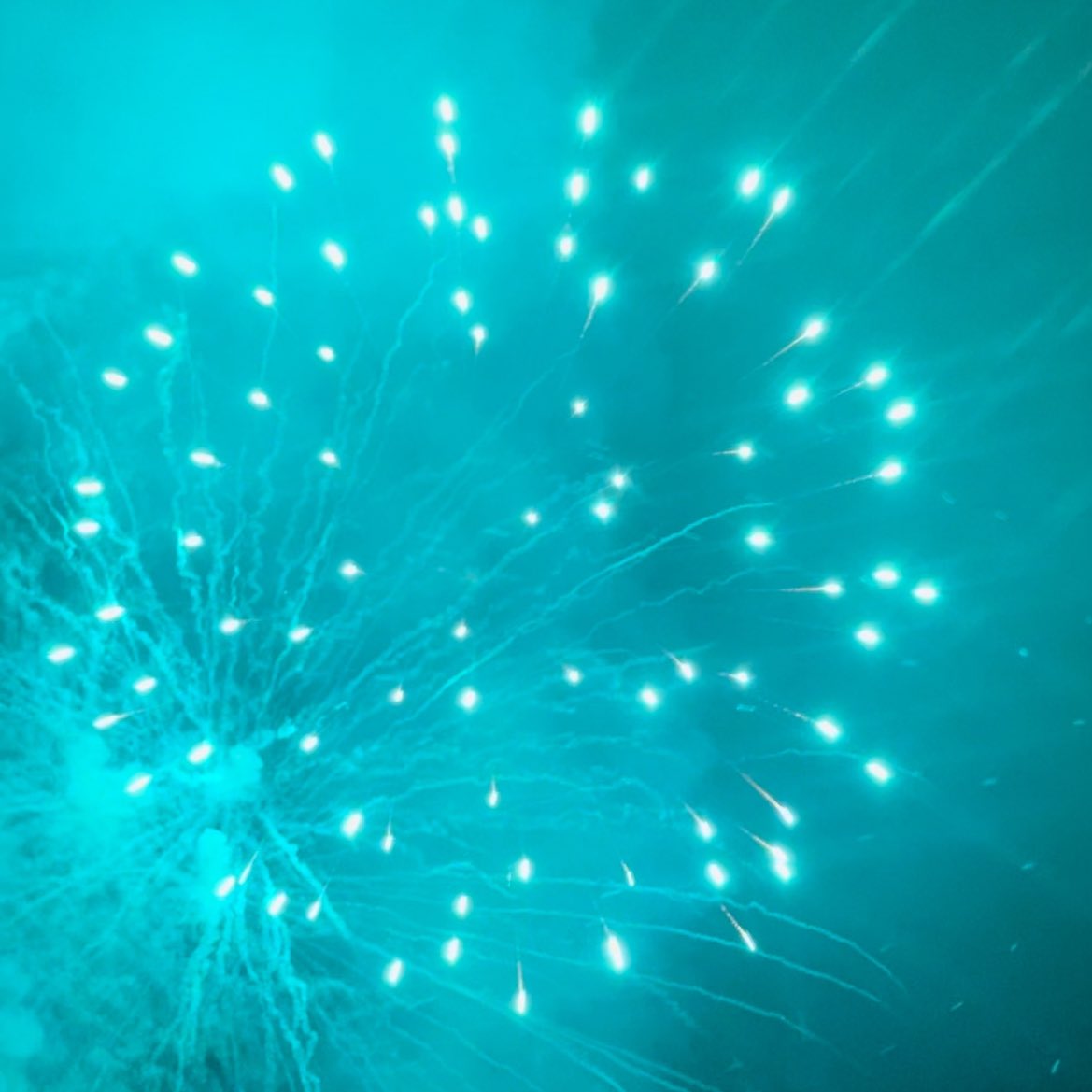 IcicleLakesHQ's tweet photo. Gorgeous colourful #fireworks 🎆 💛 they get better every year! #Hawkshead #LakeDistrict #beauty #photo 🎇🐑 https://t.co/0Uscl1sxin