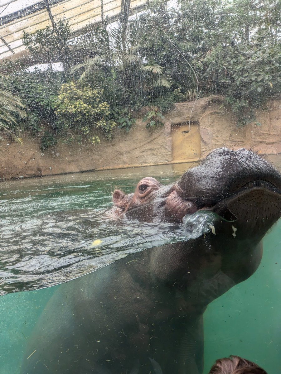 KattheCroc's tweet image. Hi @Randy_Marshall! Sorry we missed your show yesterday. We were at the zoo having a good time. Hope all @CISNCountry listeners are doing well and have a great day! #KeepOnCISN #KatCrew