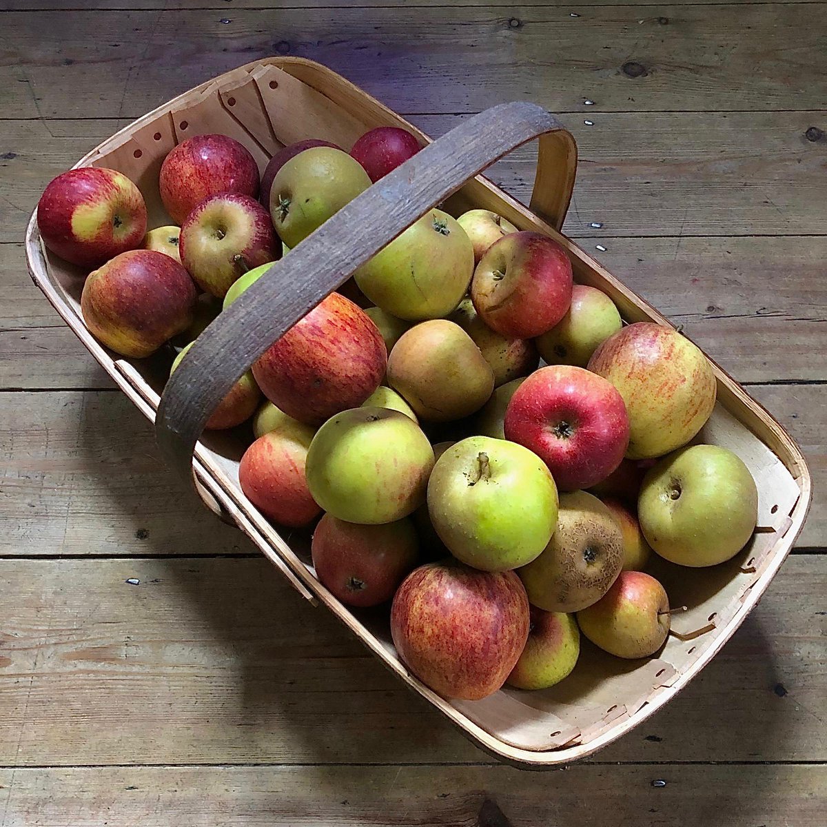 More traditional varieties of apples from London Fields Schoolyard Market this morning...