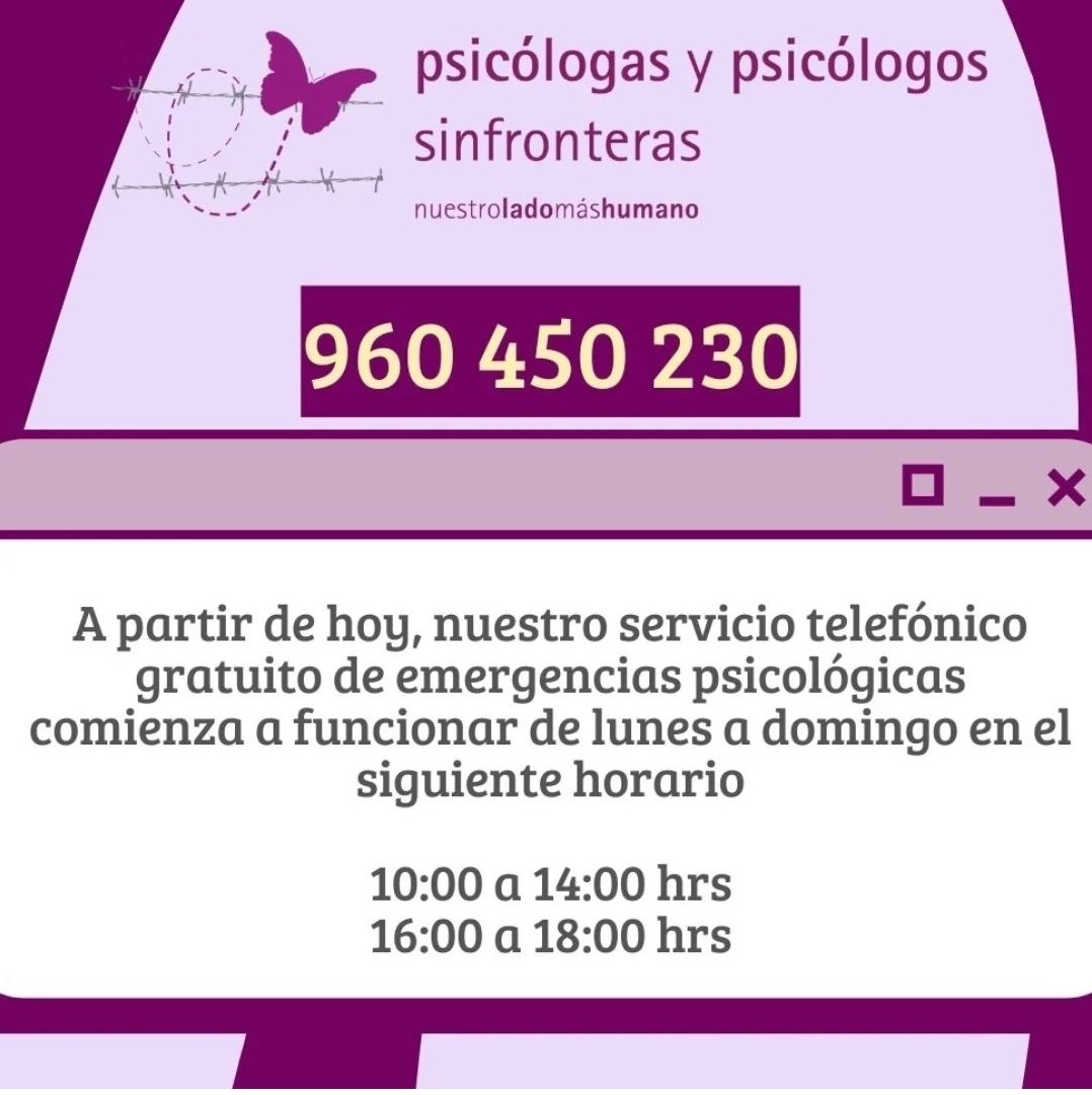 Carolina Mir (@carolinamir_) on Twitter photo 