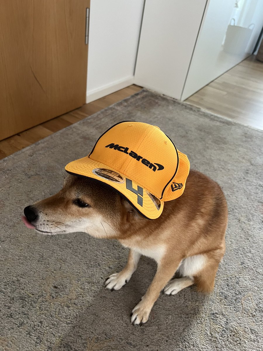 Lars Fronius tweet media