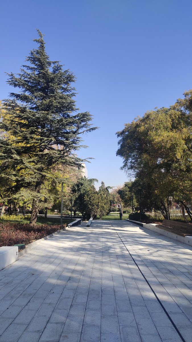 Berhunde_'s tweet photo. @curlyleydiii @haberankaracom @abbbasin @ankarabbld @mansuryavas06 Sonrası 😊 #güvenpark https://t.co/BOUbdpRDcx
