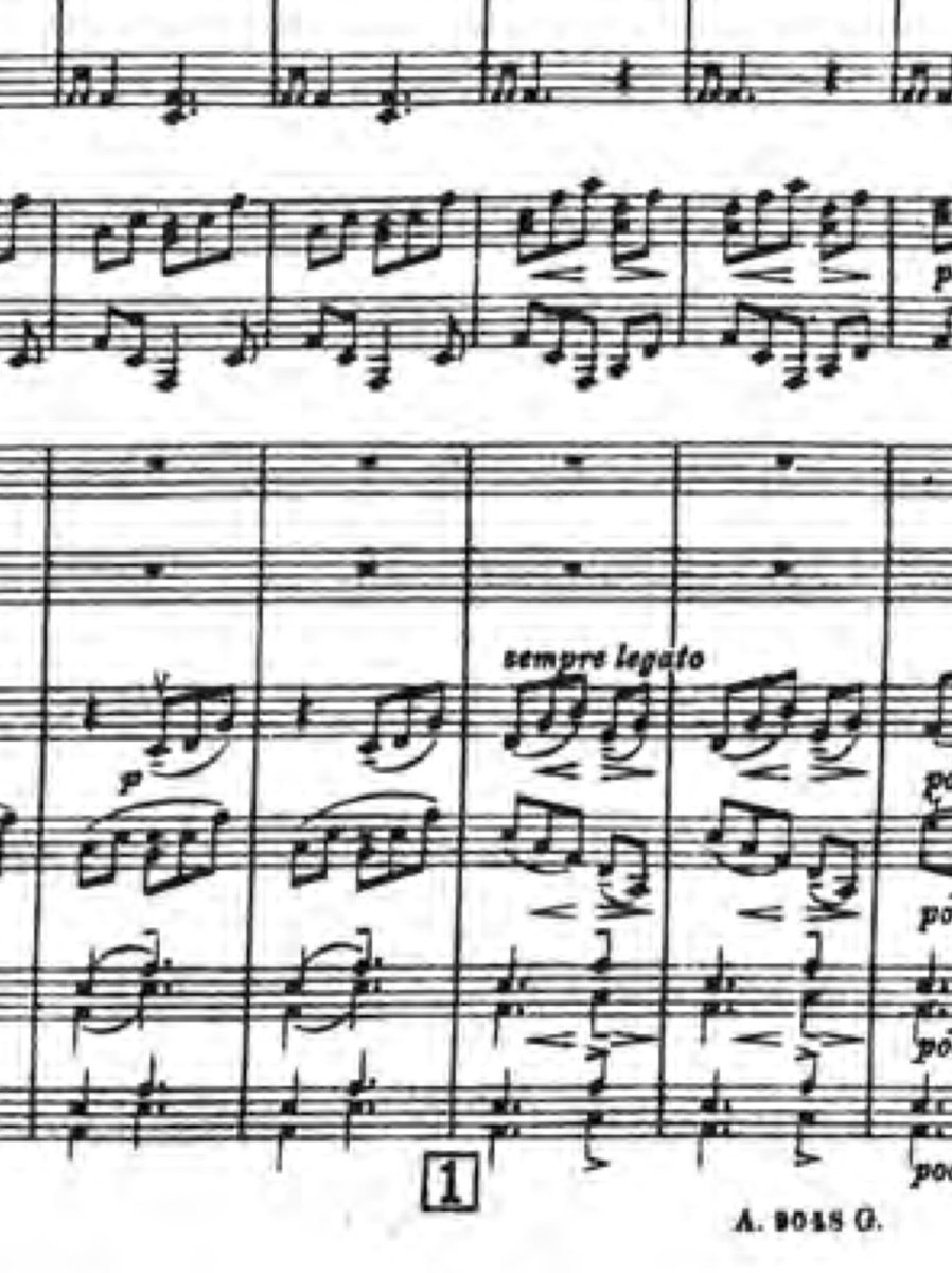 Miles Nipper tweet media