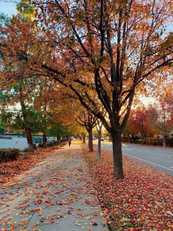 خزاں کے رت میں بہارلہجے بنا کے رکھناکمال یہ ہے۔۔۔۔🍂🍁